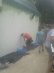 Camp treball1